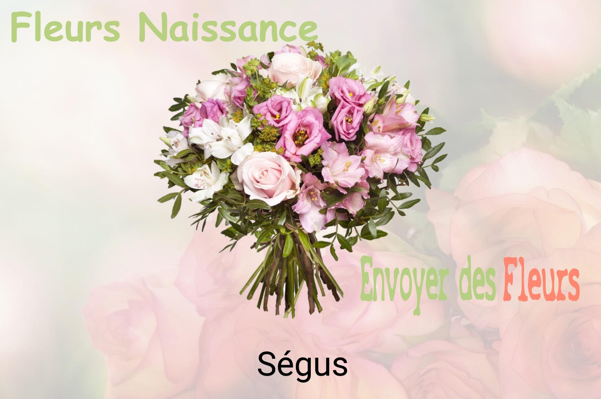 Bouquet de fleurs de naissance livré à Ségus