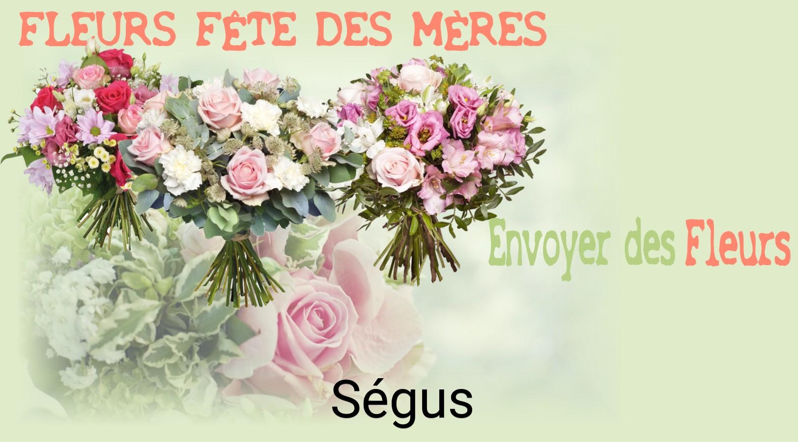 Bouquet de Fête des Mères livré à Ségus